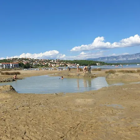 Nevenka K. Čižići