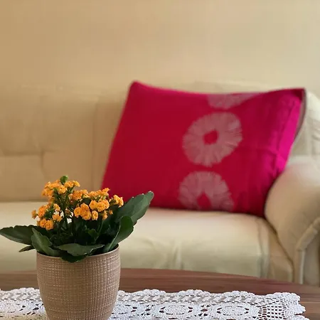 Nevenka K. Guest house
