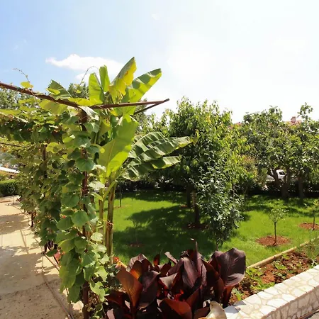 Nevenka K. Guest house